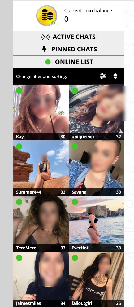 MyLoveSeeker live chat member area